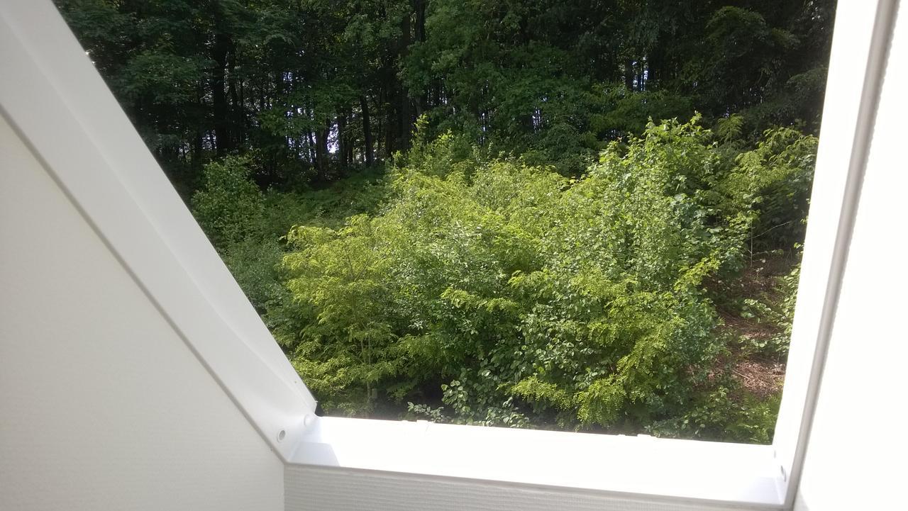 Moselundgaard B/B Og Hestehotel Engesvang Exteriér fotografie